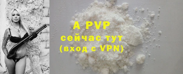 PSILOCYBIN Заволжье