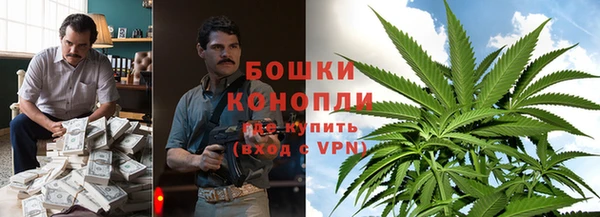 индика Покровск