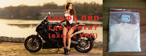 эйфоретик Покачи