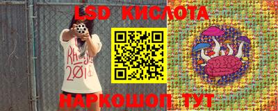 гидра Абинск