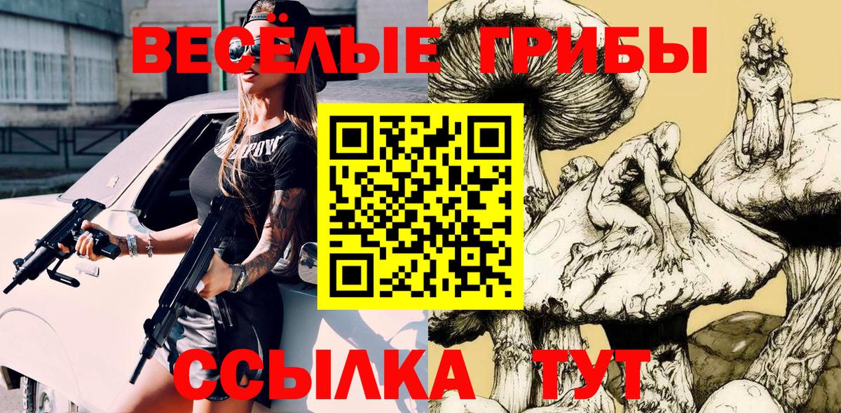Псилоцибиновые грибы Cubensis  Вход с VPN  Алейск 
