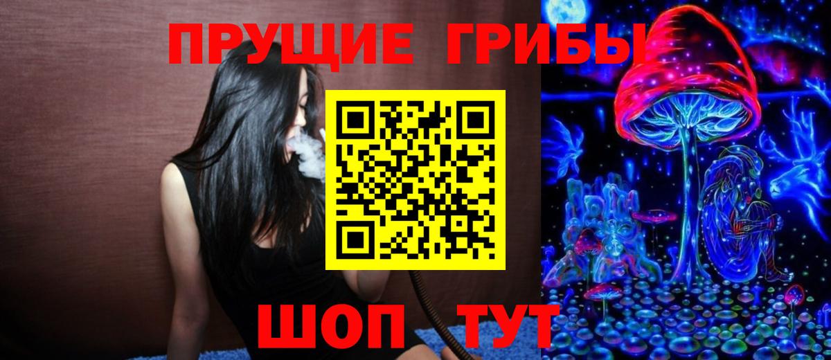 Псилоцибиновые грибы Psilocybine cubensis  Псилоцибиновые грибы Psilocybe  Алейск 